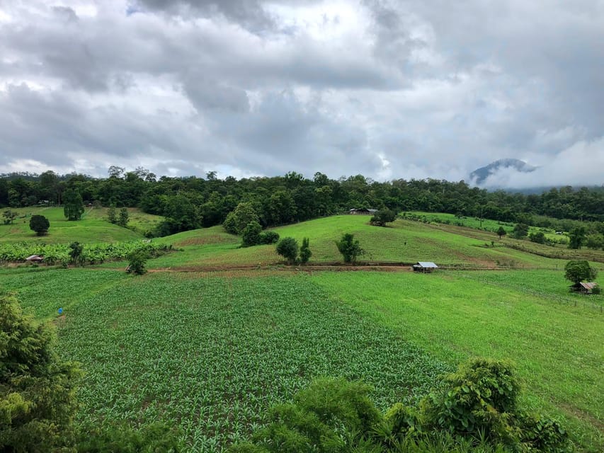 Pai: Ultimate Ziplining Adventure through the Jungle - Who will enjoy this most?