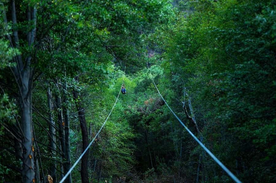 Pauma Valley: Ziplining Tour - Safety equipment and instructor support