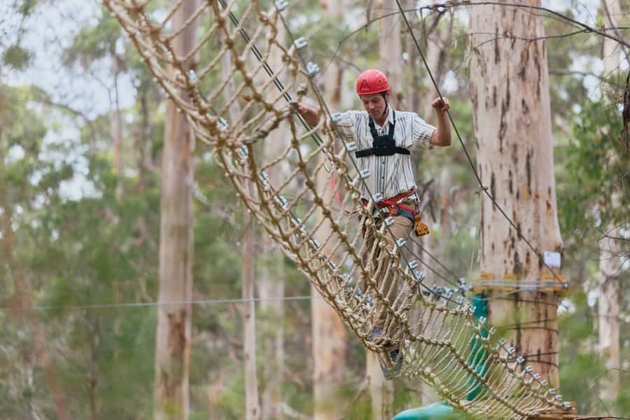 Pemberton: 2.5h Ultimate Ziplines & High Ropes Experience - Key points at a glance