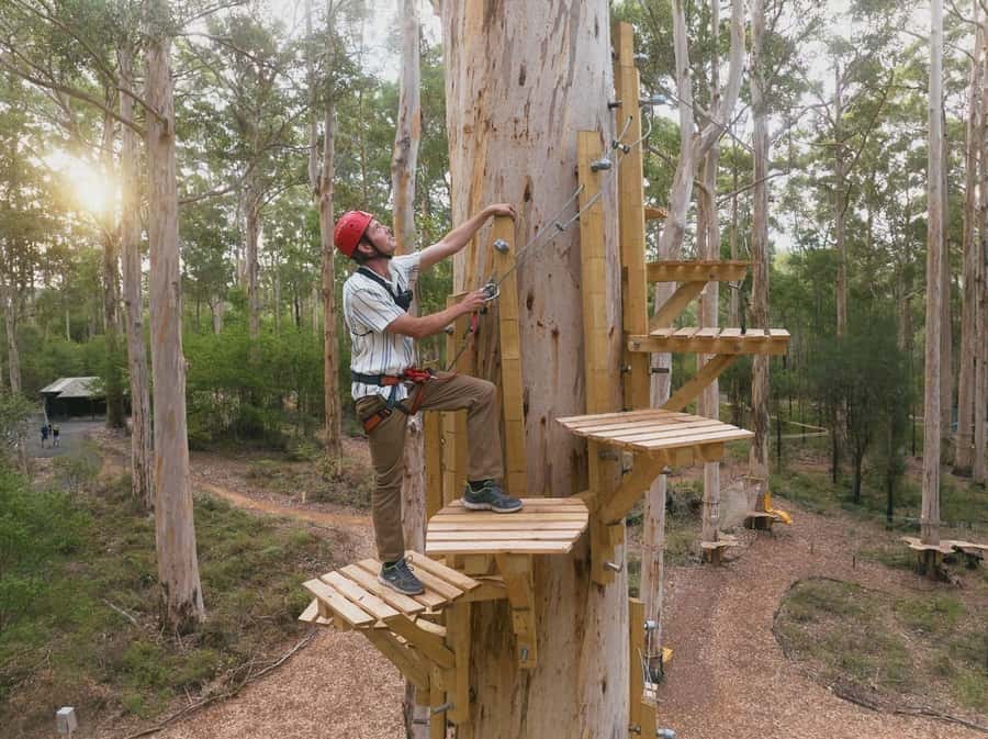 Pemberton: 2.5h Ultimate Ziplines & High Ropes Experience - What to bring and what to leave behind