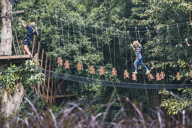Phoenix Zipline Adventure Park – Chiang Mai Thrills - The forest setting north of Chiang Mai