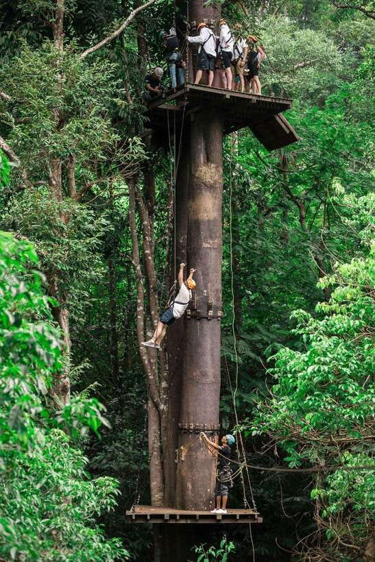 Phuket: Flying Hanuman Zipline Adventure - Flying Hanuman’s rainforest setting