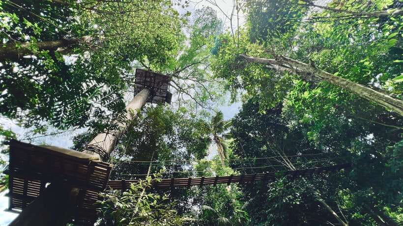Phuket: Flying Hanuman Zipline Adventure - Is $76 a fair price?