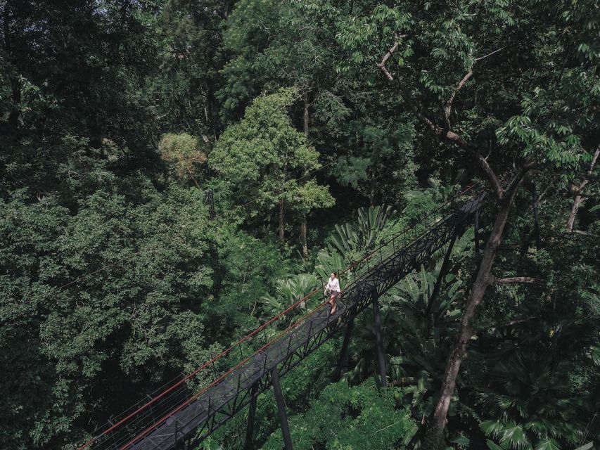 Phuket: Hanuman World Zip Line Adventure - Arrival, equipment, and the safety briefing