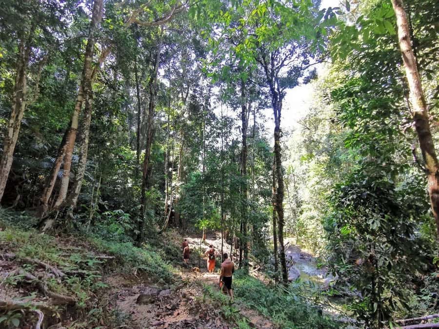 Phuket: Monkey Cave, Water Rafting, Zipline with ATV Option - Who should book this Phuket adventure