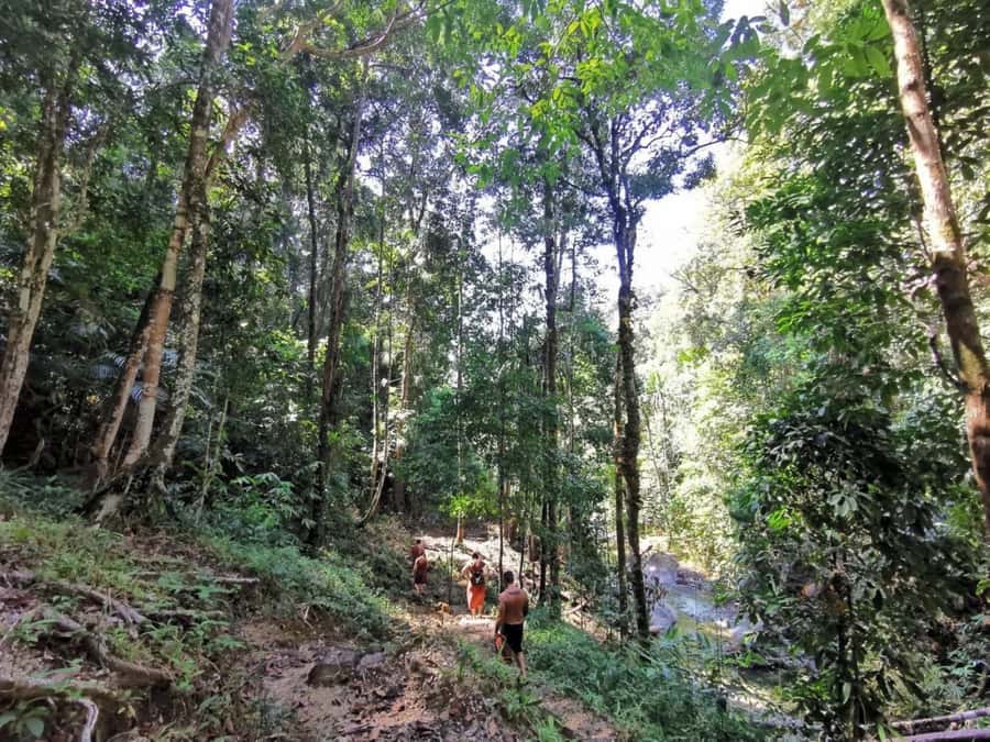 Phuket: Monkey Cave, Water Rafting, Zipline with ATV Option - Lunch at the camp