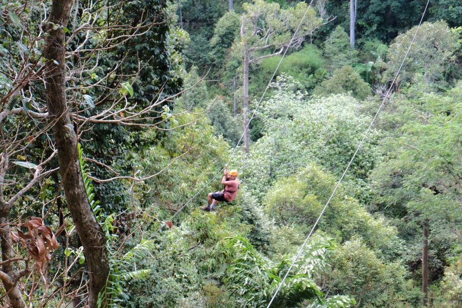Phuket: Paradise Jungle Zipline Adventure - Views, speed, and the role of the guides
