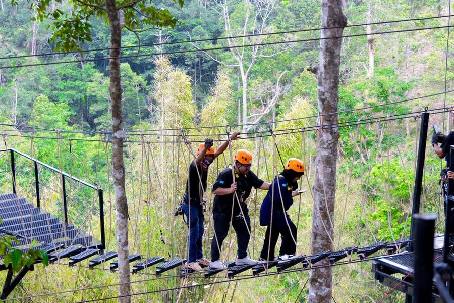Phuket: Rainforest Eco Zipline Expedition - Moving through ancient trees and open views