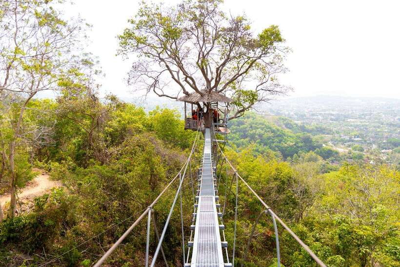 Phuket: Zipline Flying Higher than a Hawk with ATV Option - From hotel lobby to jungle platform