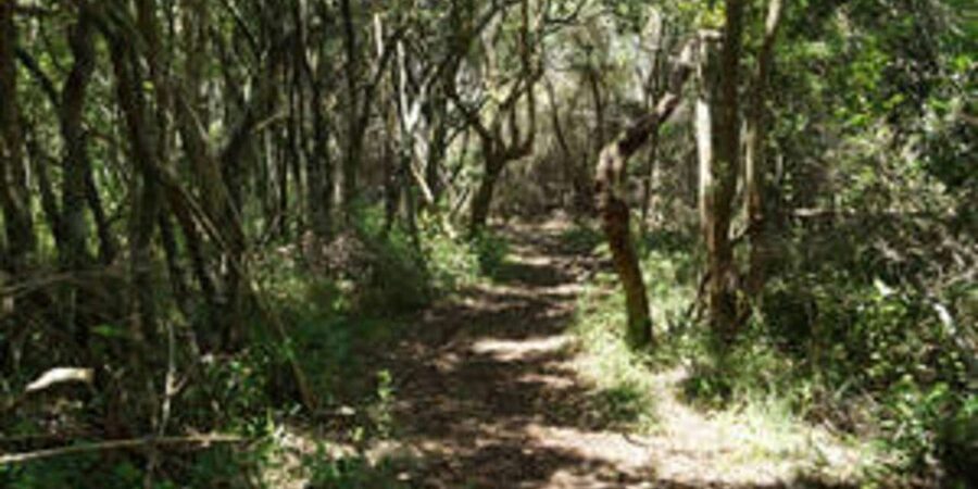 Plettenberg: 2-Hour Zipline Tour - How long does the tour really take?