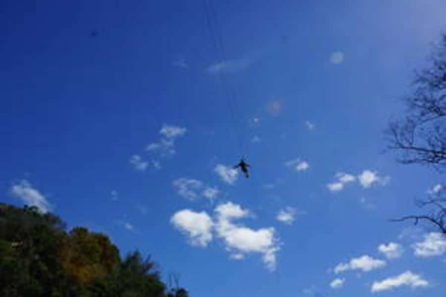 Plettenberg: 2-Hour Zipline Tour - Practical advice before you go