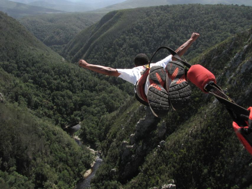 Plettenberg Bay: Bungee Jumping with Zipline and Sky Walk - Key points to know