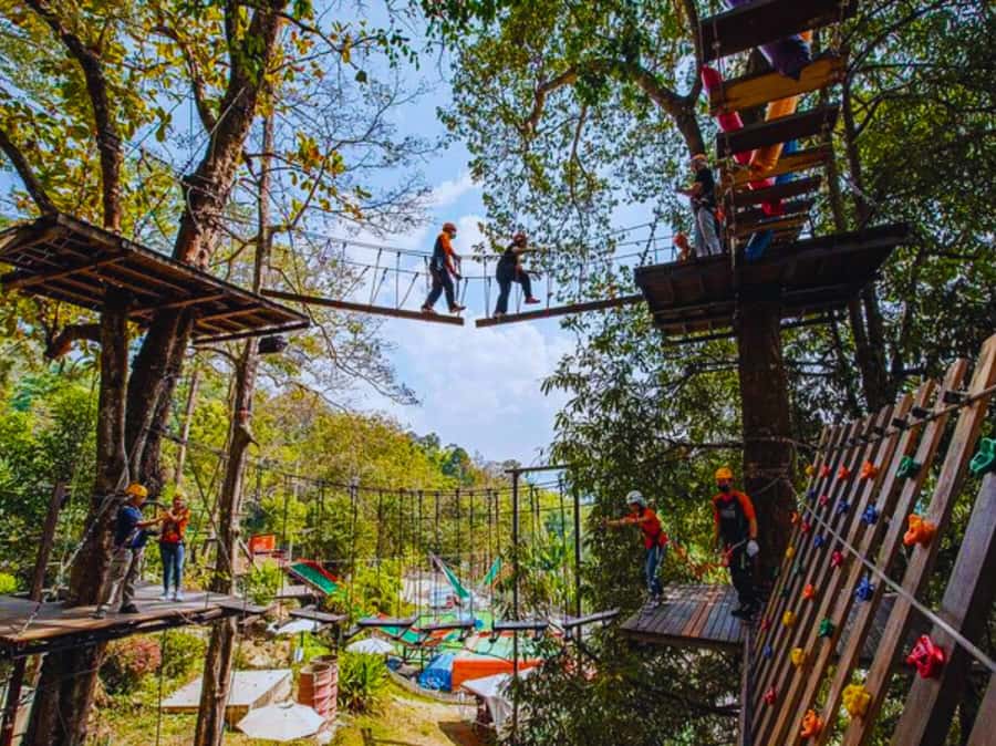 Pongyang Jungle Coaster & Zipline (Transfer) - Key points to know before you book