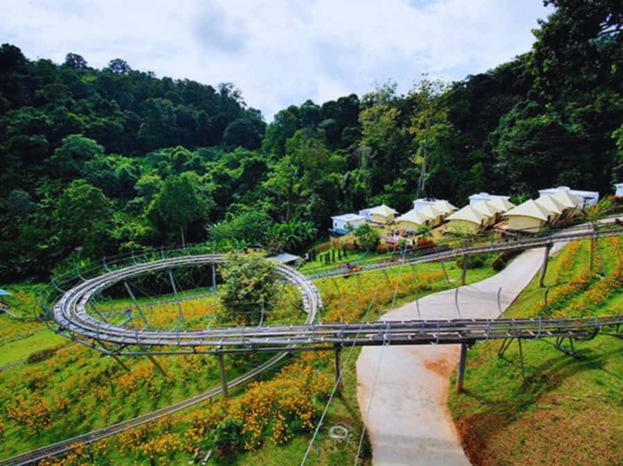 Pongyang Jungle Coaster & Zipline (Transfer) - What the 90-Minute to Three-Hour Visit Feels Like