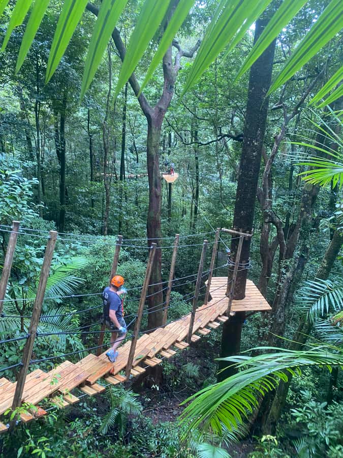 Port Douglas: Daintree National Park Tour, Cruise, & Zipline - Crossing the Daintree River by ferry