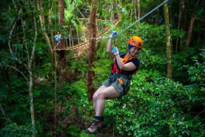Port Douglas: Daintree National Park Tour, Cruise, & Zipline