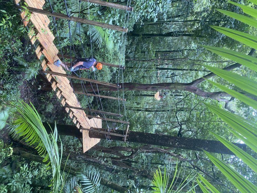 Port Douglas: Daintree National Park Tour, Cruise, & Zipline - Tropical fruit ice cream on the way back