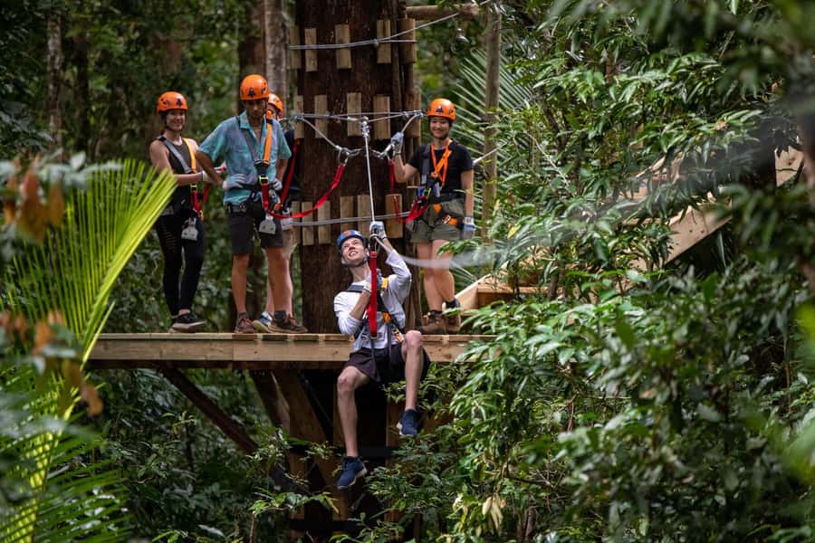 Port Douglas: Daintree Rainforest Canopy Ziplining Tour - Looking down from the canopy platforms
