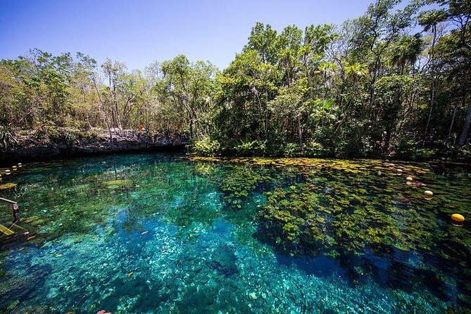 Private Coba & Jungle Adventure: Zipline, Rappel & Cenote - Who will enjoy this most