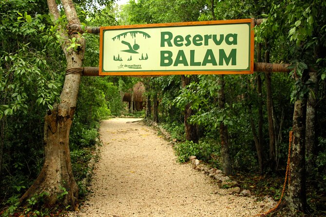 Private Jungle Adventure tour: Zipline + Rappel + Cenote - What the private format really adds