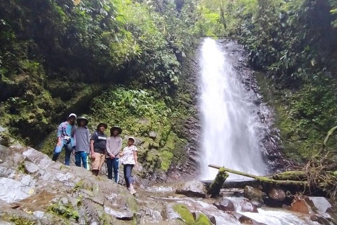 PRIVATE Mindo Cloud Forest tour - Chocolate, coffee, and optional zip lining