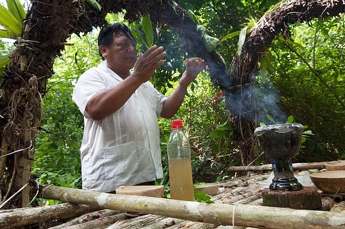 Private Tour Punta Laguna Monkey Sanctuary Zip Line - Walking the rainforest in search of spider monkeys