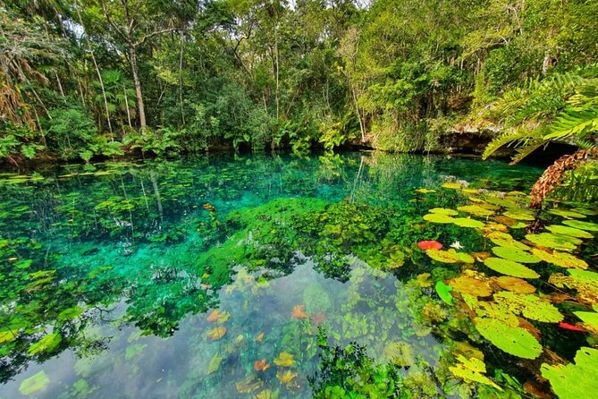 Private Tour Tankah 3 Zip Lines 3 Cenotes Canoe Snorkel Community - Three zip lines for a quick jungle rush
