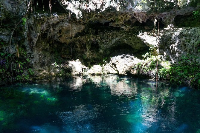 Private Tour with 3 Cenotes + 5 Zip-lines + Mayan Lunch - Is $213 a fair price?