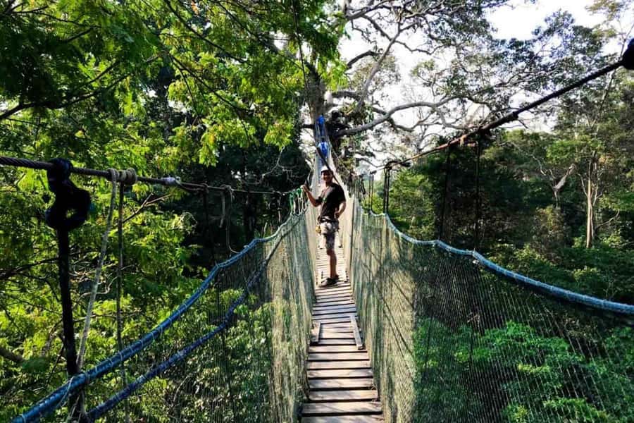 Puerto Maldonado: Jungle Adventure |Zipline + Canopy + Kayak - Two short zip lines with trained staff