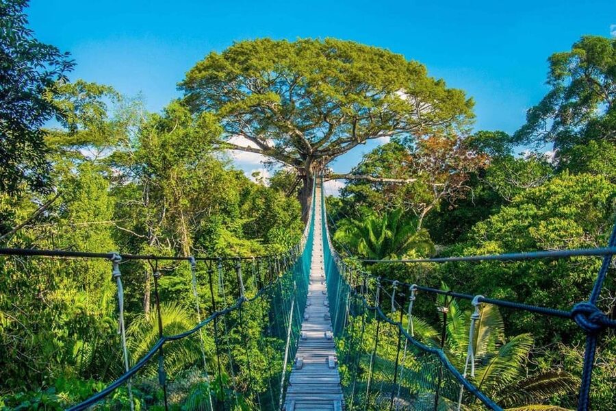 Puerto Maldonado: Jungle Adventure |Zipline + Canopy + Kayak - Monkey Island and its resident primates