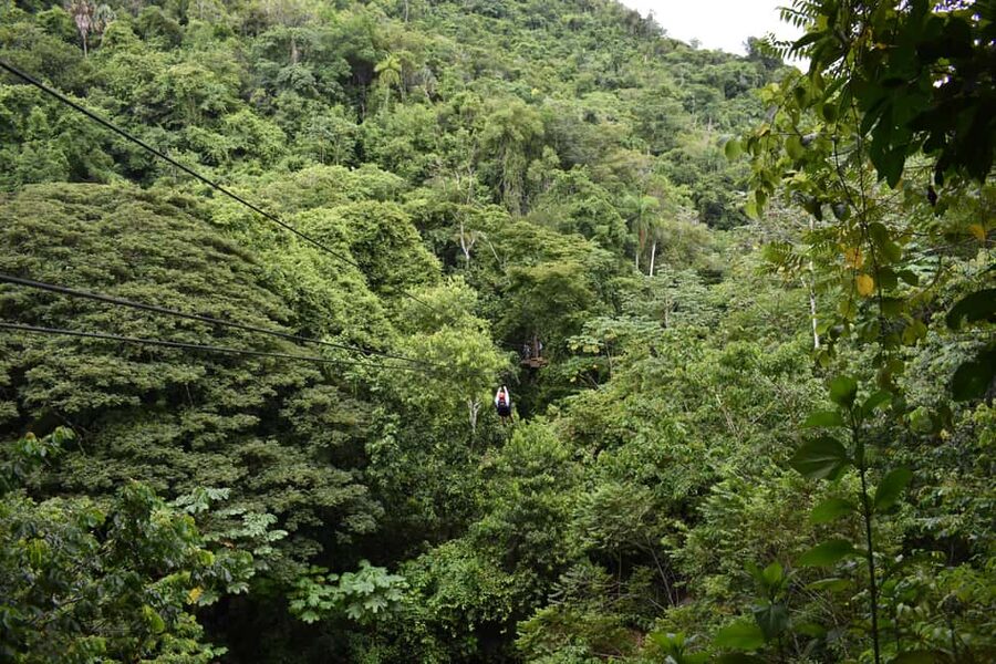 Puerto Plata/Amber Cove: Zipline and Waterfalls with Lunch - FAQ