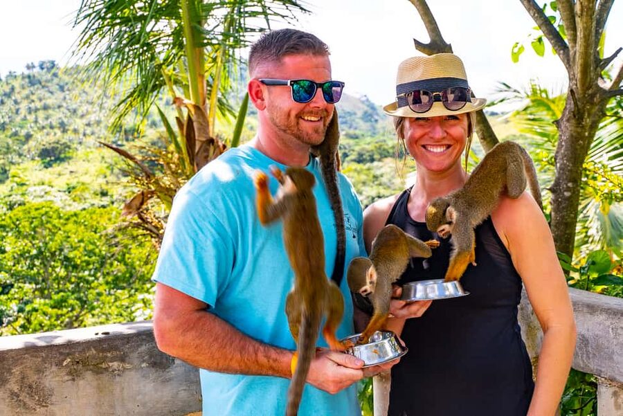 Puerto Plata: Monkeyland and Zip-Line Adventure - Key points at a glance