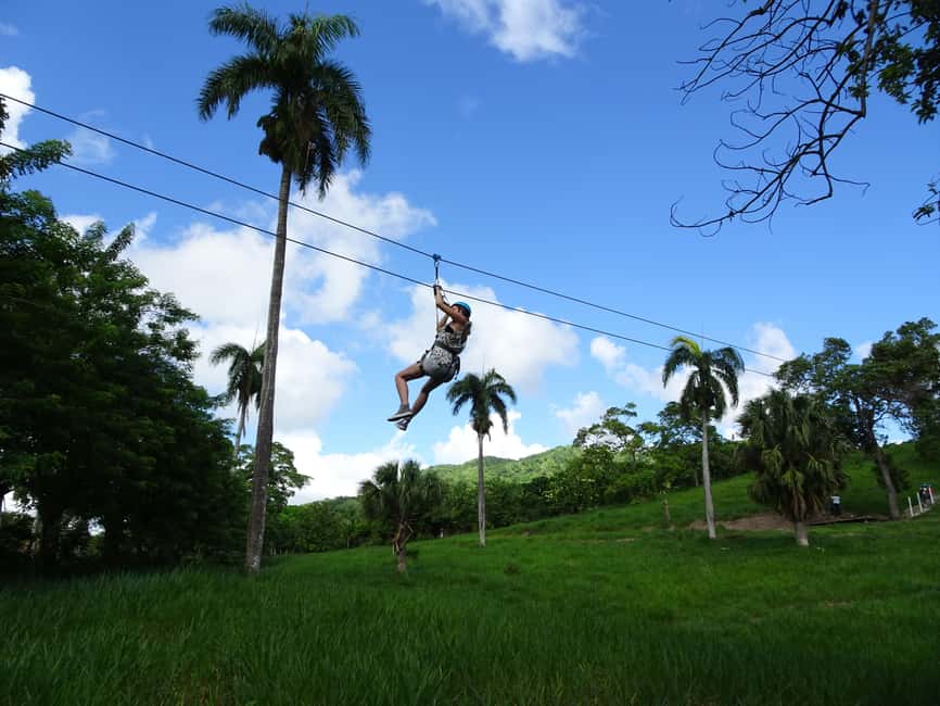 Puerto Plata: Zip Line Adventure - Should you book the eight-line adventure?