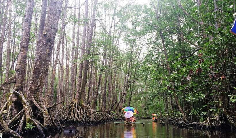 Puerto Princesa: Underground River, Zipline, Paddleboat Tour - Guides, Group Size, and Communication