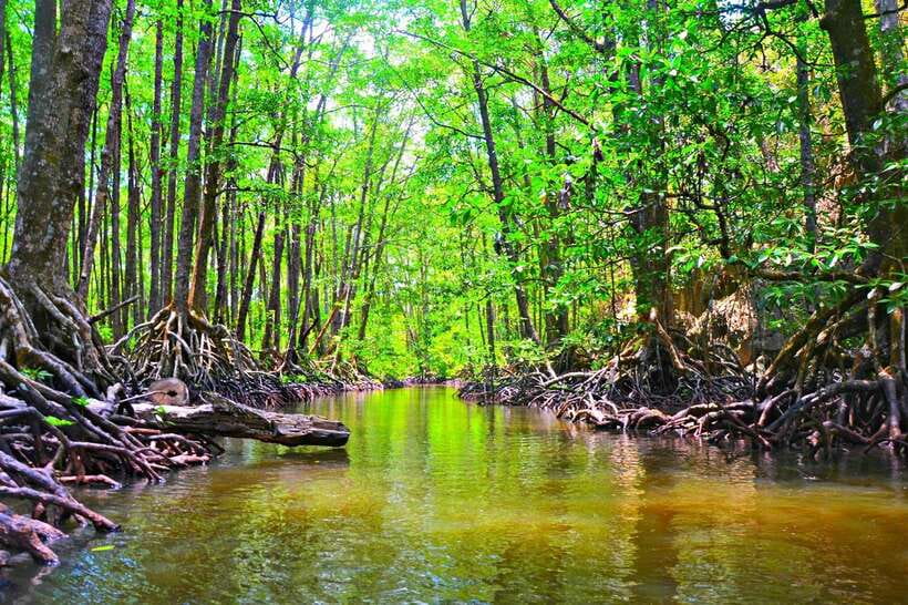 Puerto Princesa: Underground River, Zipline, Paddleboat Tour - FAQ