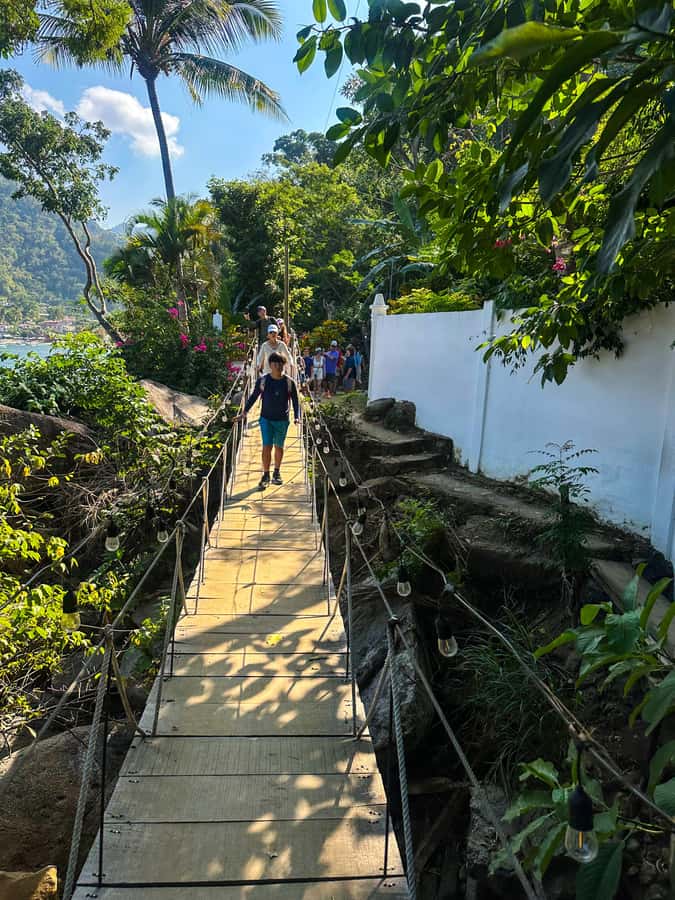 Puerto Vallarta: Hiking Trail, 6 Hidden Beaches & Zipline. - Key points to know before you go