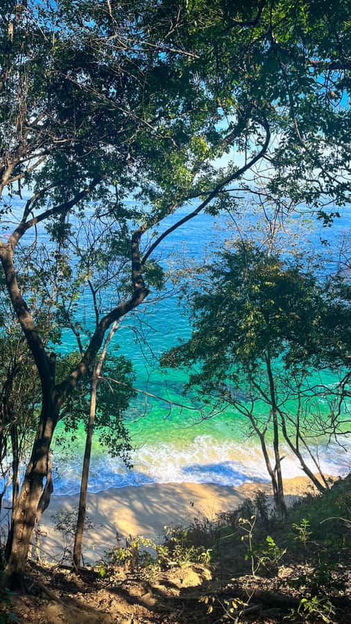 Puerto Vallarta: Hiking Trail, 6 Hidden Beaches & Zipline. - Las Ánimas Beach brings food and a break