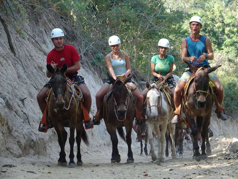 Puerto Vallarta: Outdoor Ziplines and Rappel Adventure - The Mule Trek Adds a Slower Beat