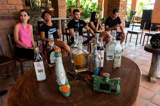 Puerto Vallarta Zipline, Mule ride and Jorullo Bridge Walking - Tequila tasting, food, and the infinity pool