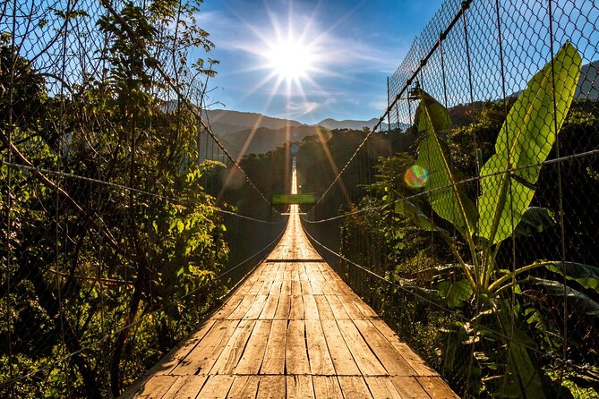 Puerto Vallarta Zipline, Mule ride and Jorullo Bridge Walking - Who will enjoy this outing most