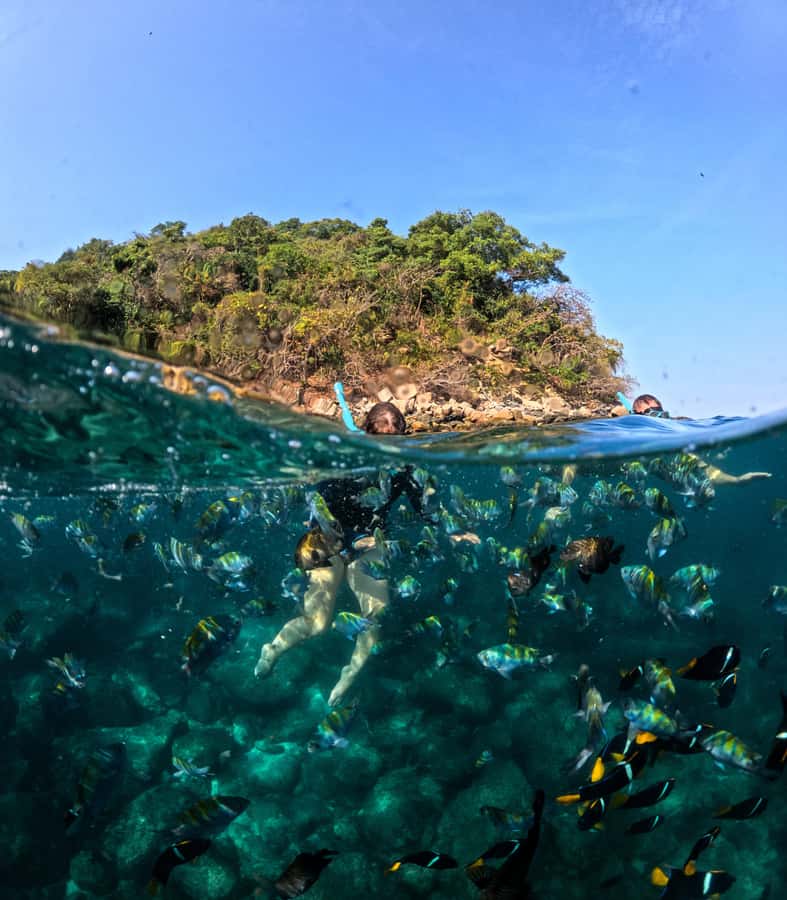Puerto Vallarta: Zipline Tour, Snorkel & Secret Beach Escape - The move to Las Ánimas Adventure Park