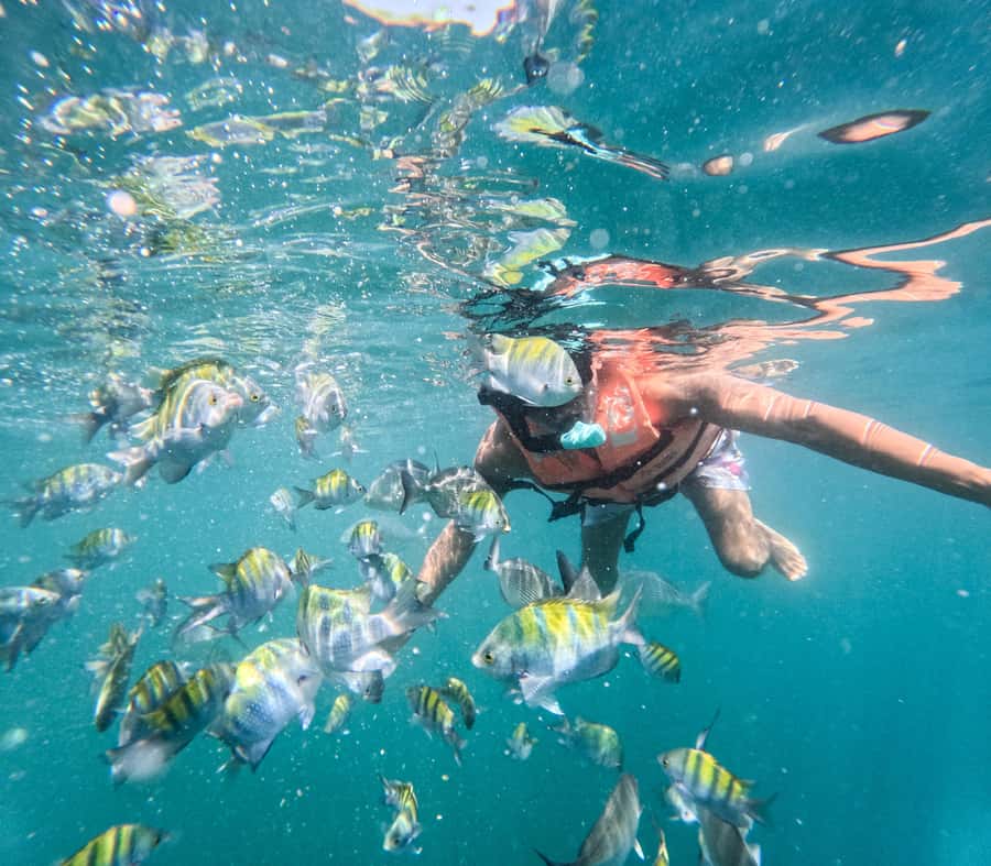 Puerto Vallarta: Zipline Tour, Snorkel & Secret Beach Escape - What the jungle activities feel like