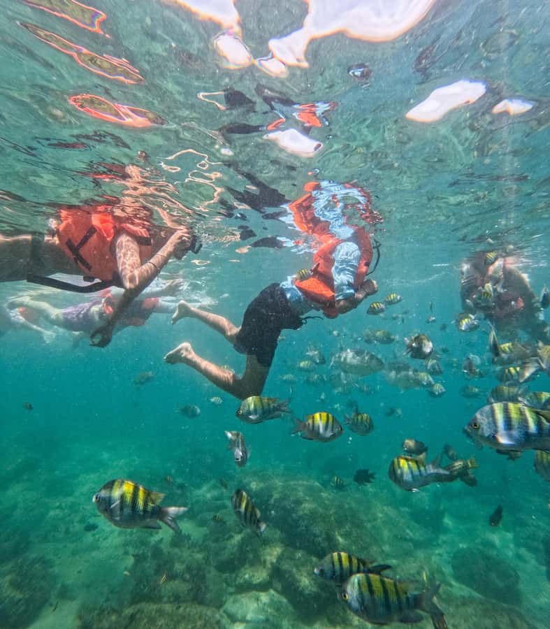 Puerto Vallarta: Zipline Tour, Snorkel & Secret Beach Escape - Is $54 a good value?