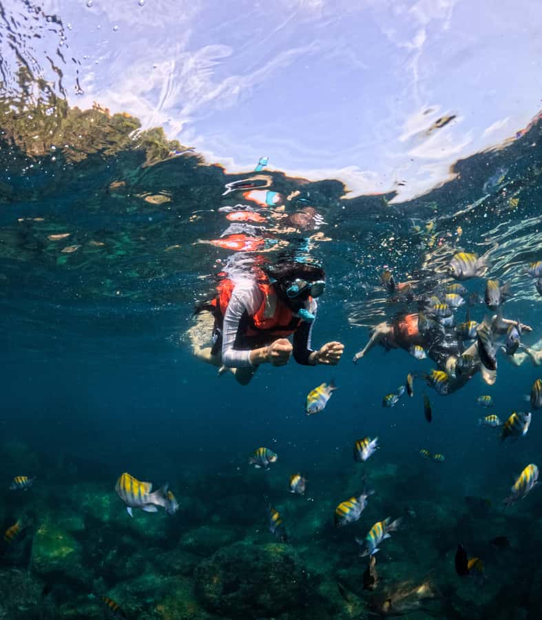 Puerto Vallarta: Zipline Tour, Snorkel & Secret Beach Escape - Who should book this experience