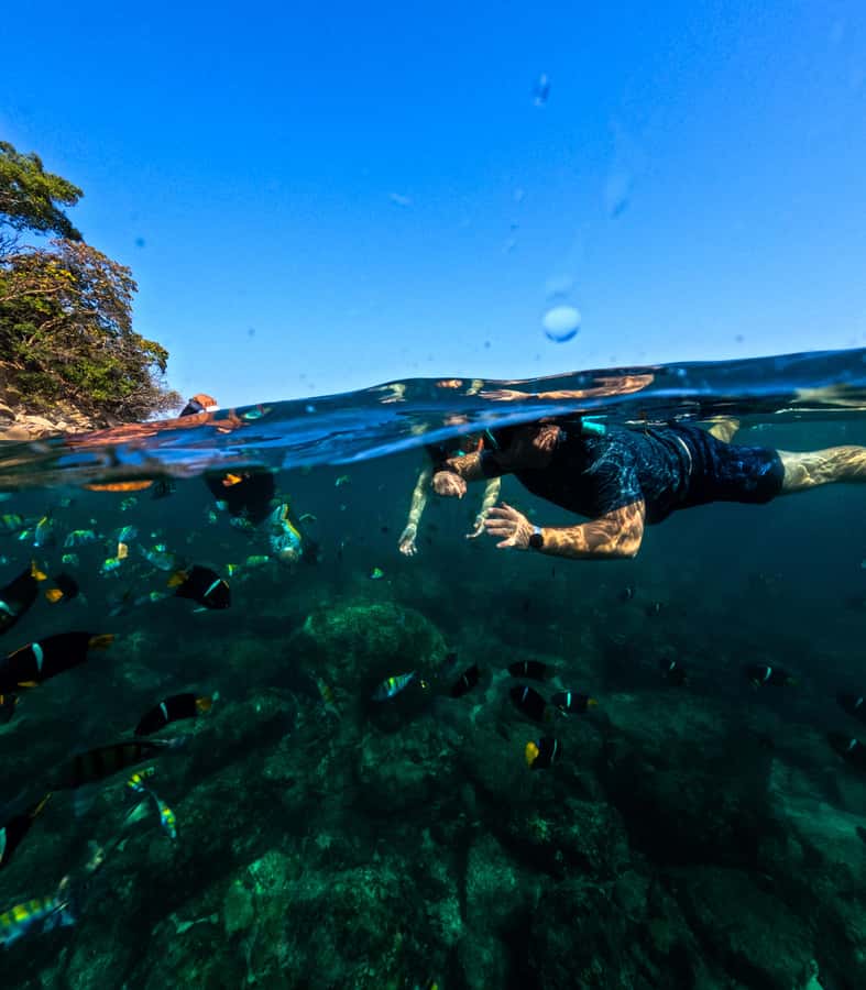 Puerto Vallarta: Zipline Tour, Snorkel & Secret Beach Escape - From Boca de Tomatlán to Majahuitas