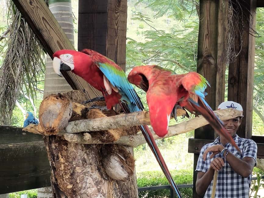 Punta Cana: Buggy and Zipline Adventure at La Hacienda - The 2-kilometer zipline is the main event