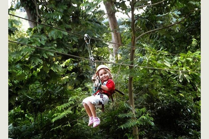Punta cana: Half-Day Zipline Tour - Transportation from your hotel