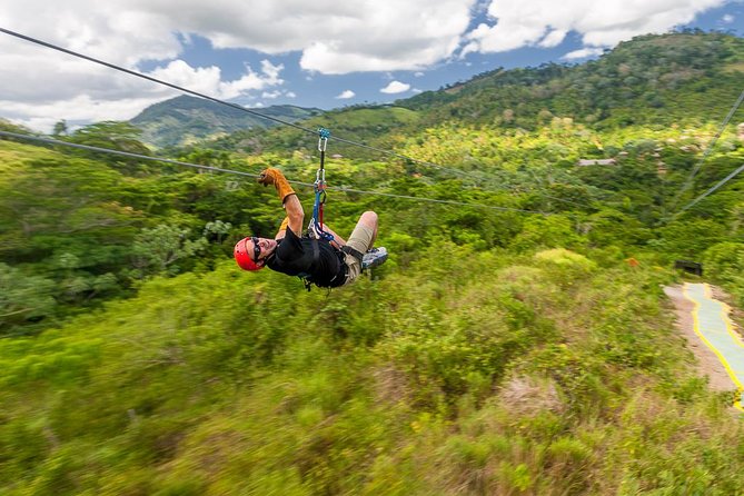 Punta Cana Monkeyland and Zipline Two Adventures in One Day - The zipline course: twelve runs and plenty of stairs