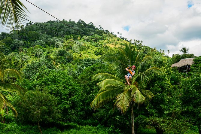 Punta Cana Monkeyland and Zipline Two Adventures in One Day - Who should book, and who should think twice