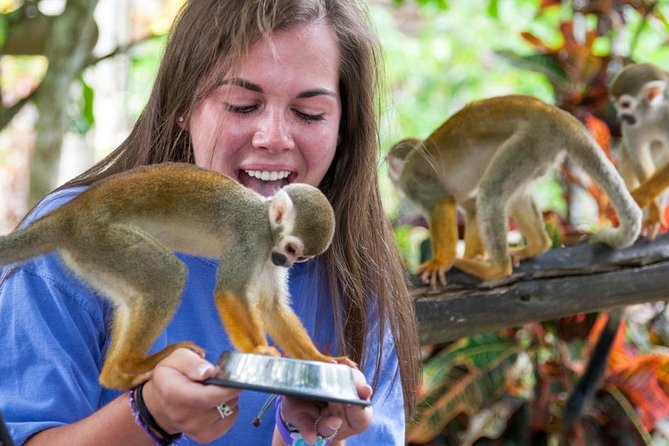 Punta Cana Monkeyland and Zipline Two Adventures in One Day - Booking, cancellation, and final value